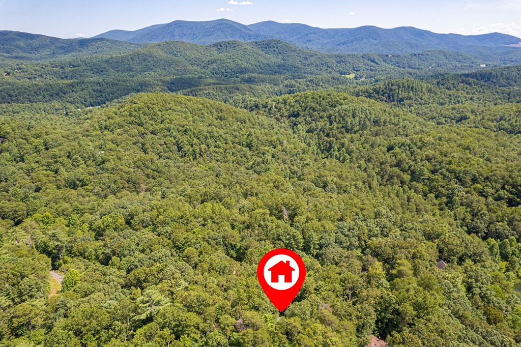57 Coffee Pot Drive Blue Ridge, GA 30513 - Photo 43 of 65