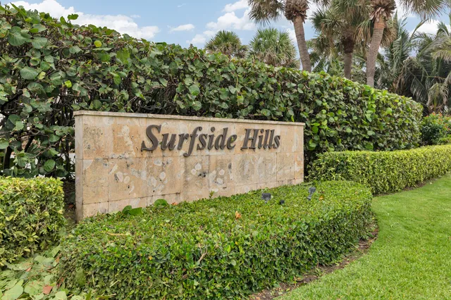 a view of a garden with plants