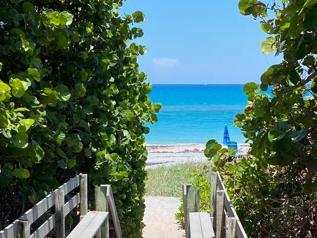 a view of front deck and a yard