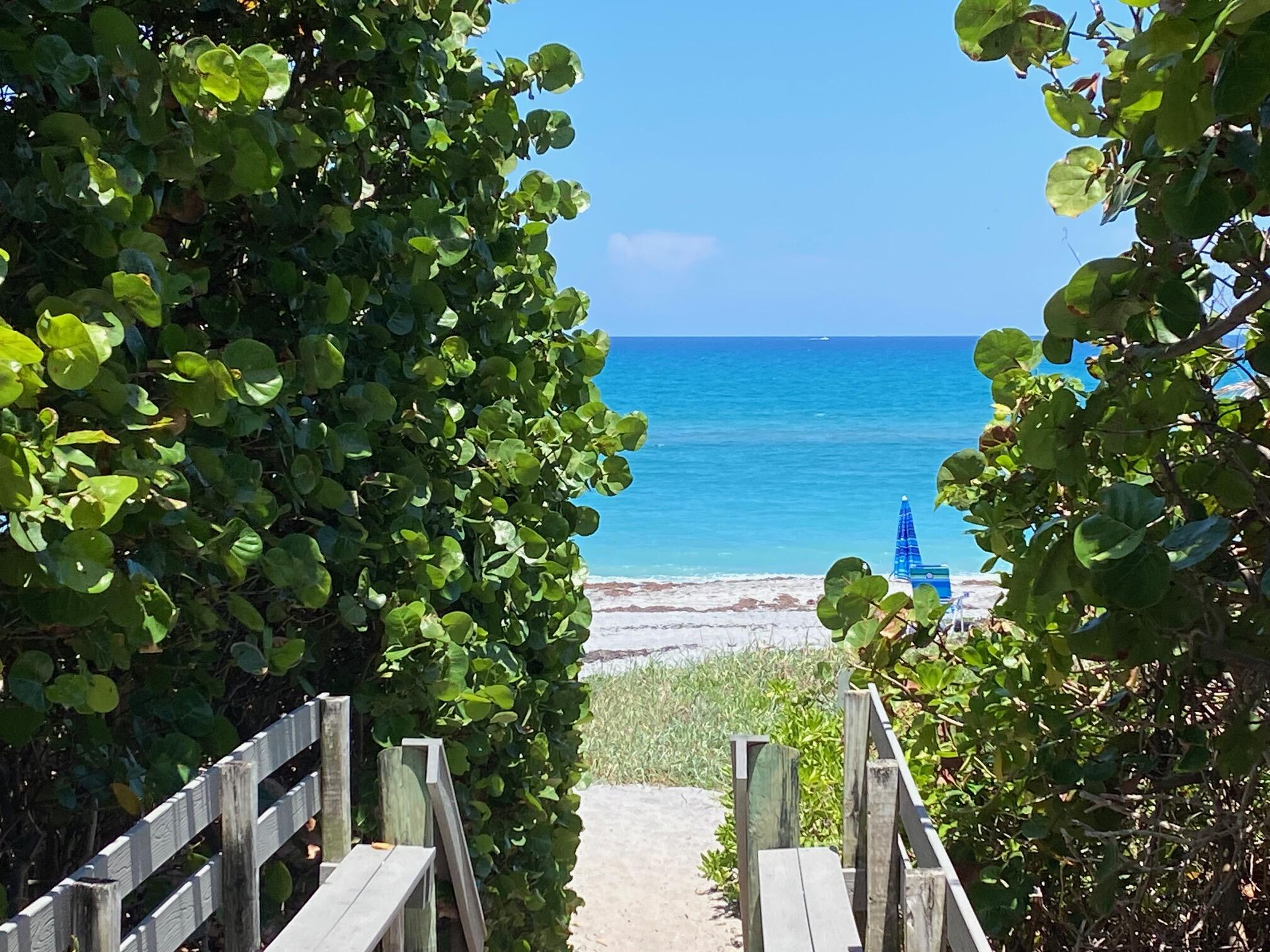 460 Surfside Lane Juno Beach, FL 33408 - Photo 41 of 51 a view of a garden with plants