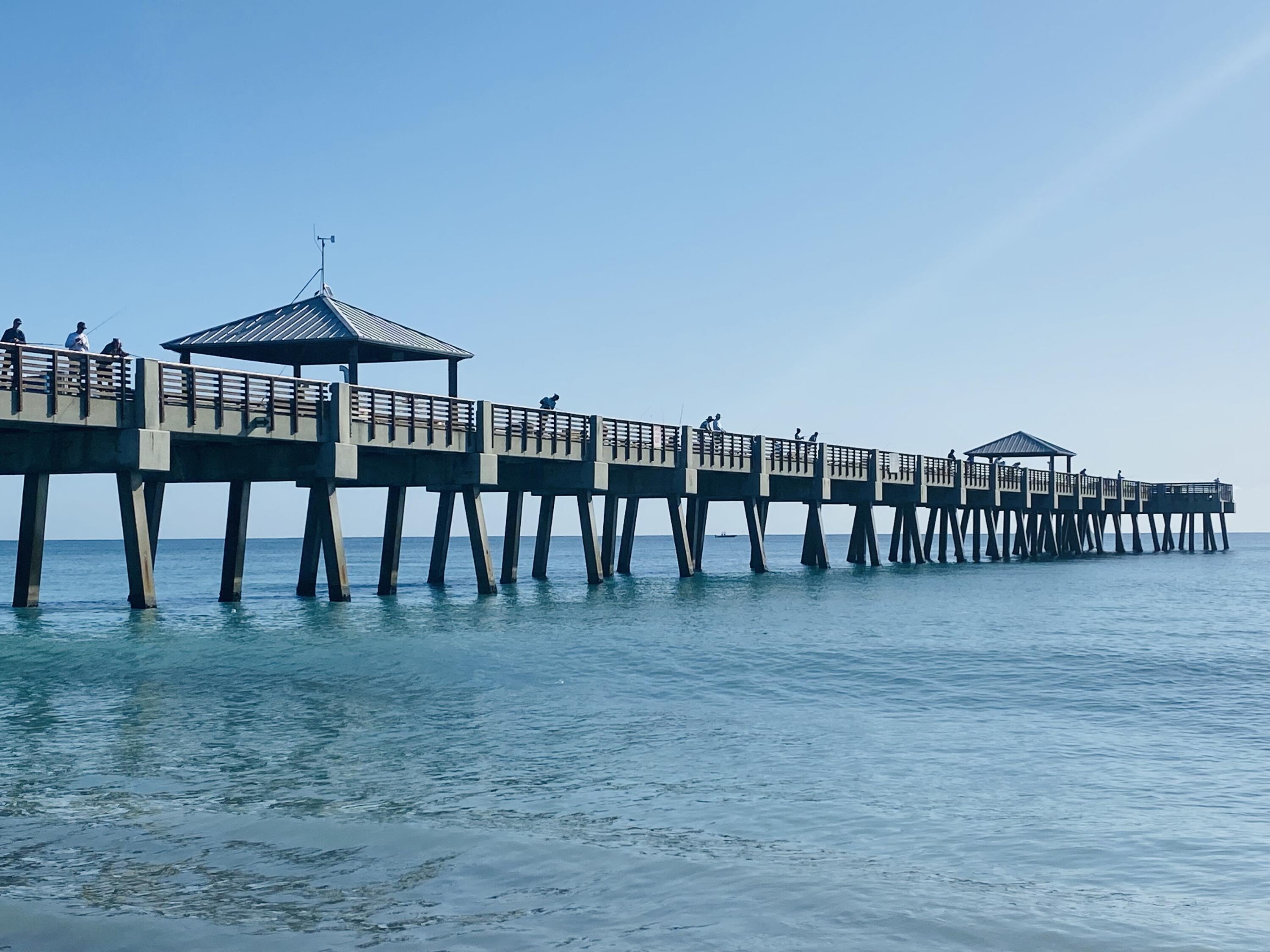 460 Surfside Lane Juno Beach, FL 33408 - Photo 42 of 51 a view of front deck and a yard