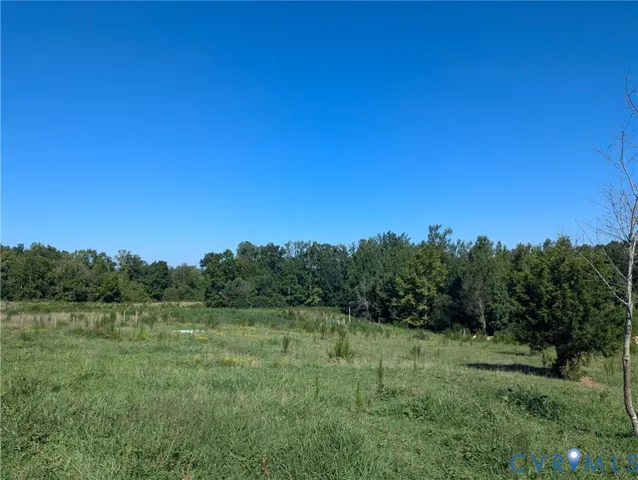 a view of a field with trees in the background
