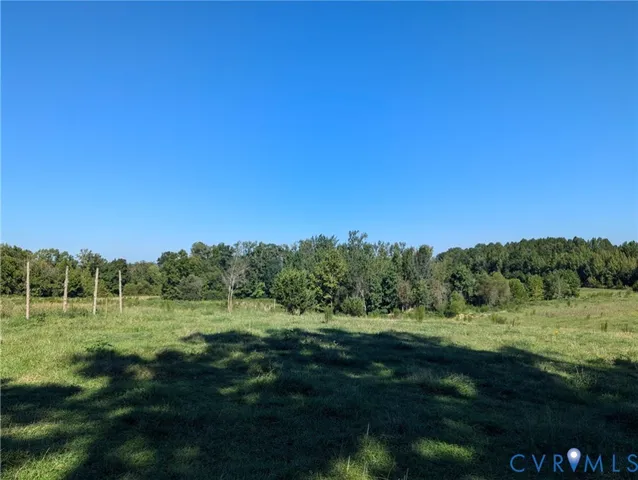 a view of a grassy area with an trees