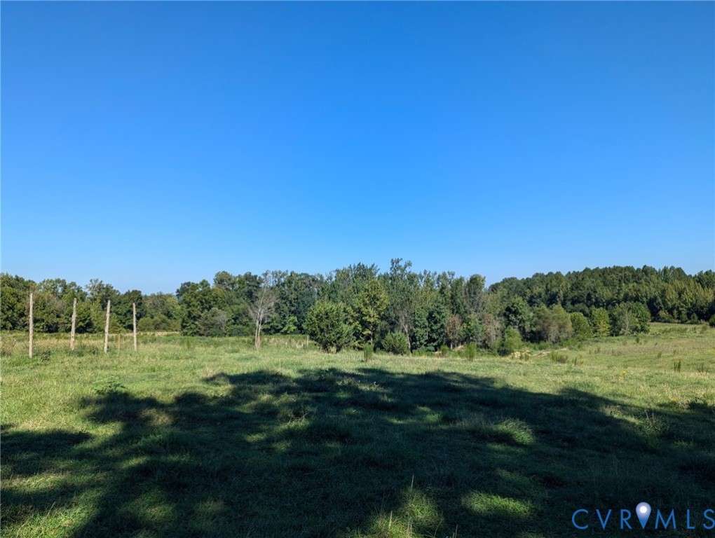 0 Wightman Road Chase City, VA 23924 - Photo 4 of 9 a view of a grassy area with an trees