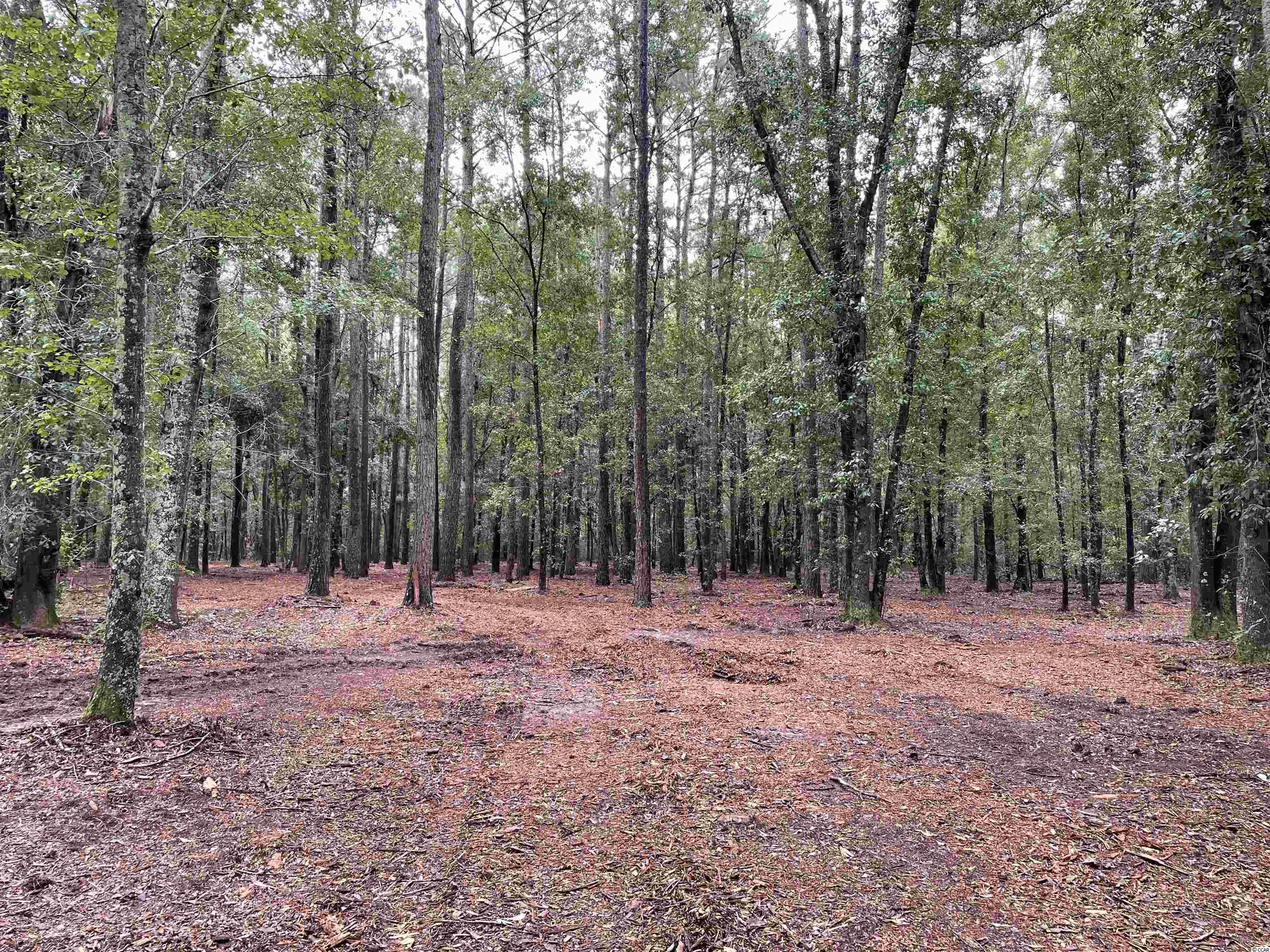Tbt Tobias Road Manning, SC 29102 - Photo 13 of 14