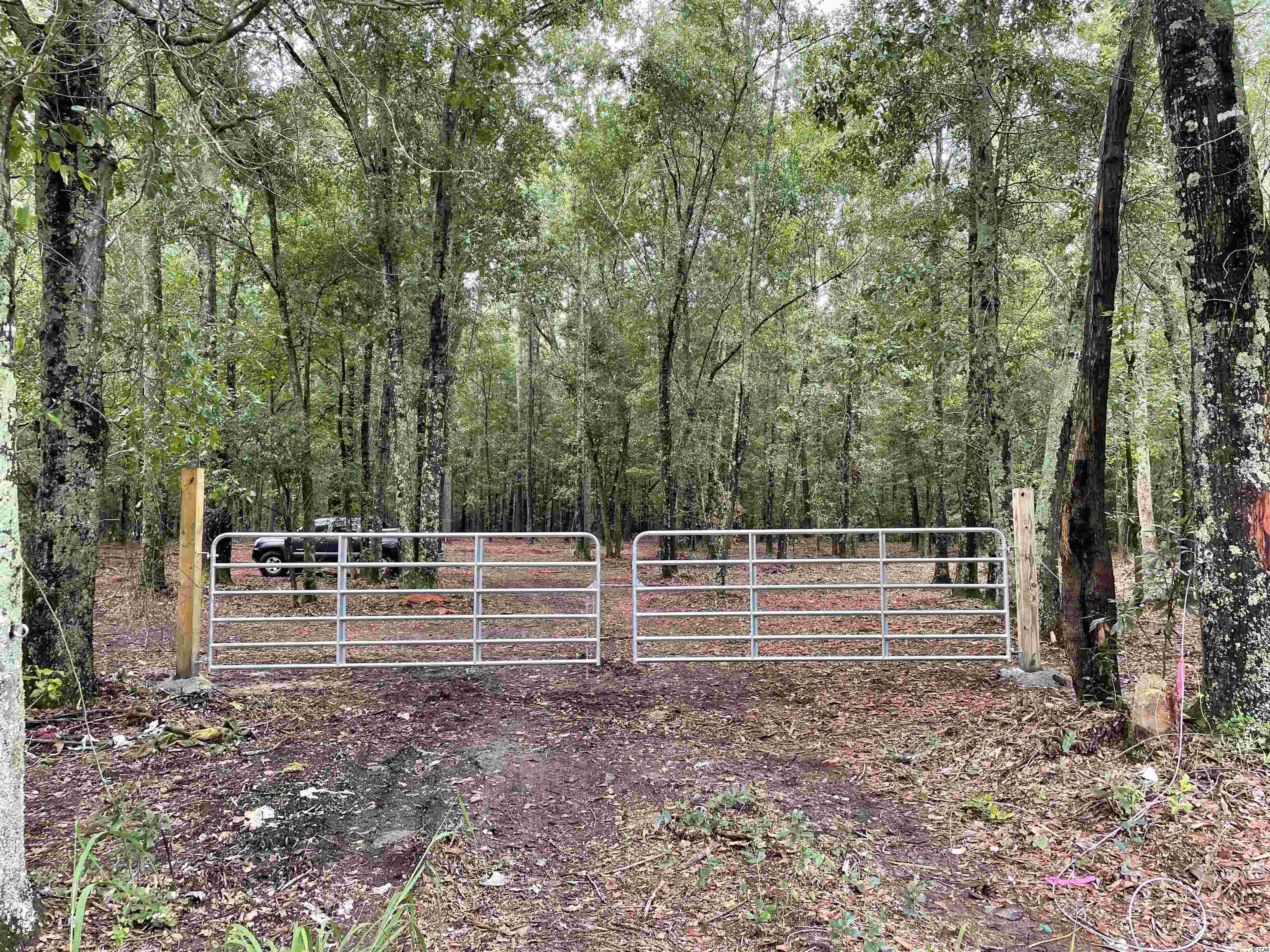 Tbt Tobias Road Manning, SC 29102 - Photo 2 of 14