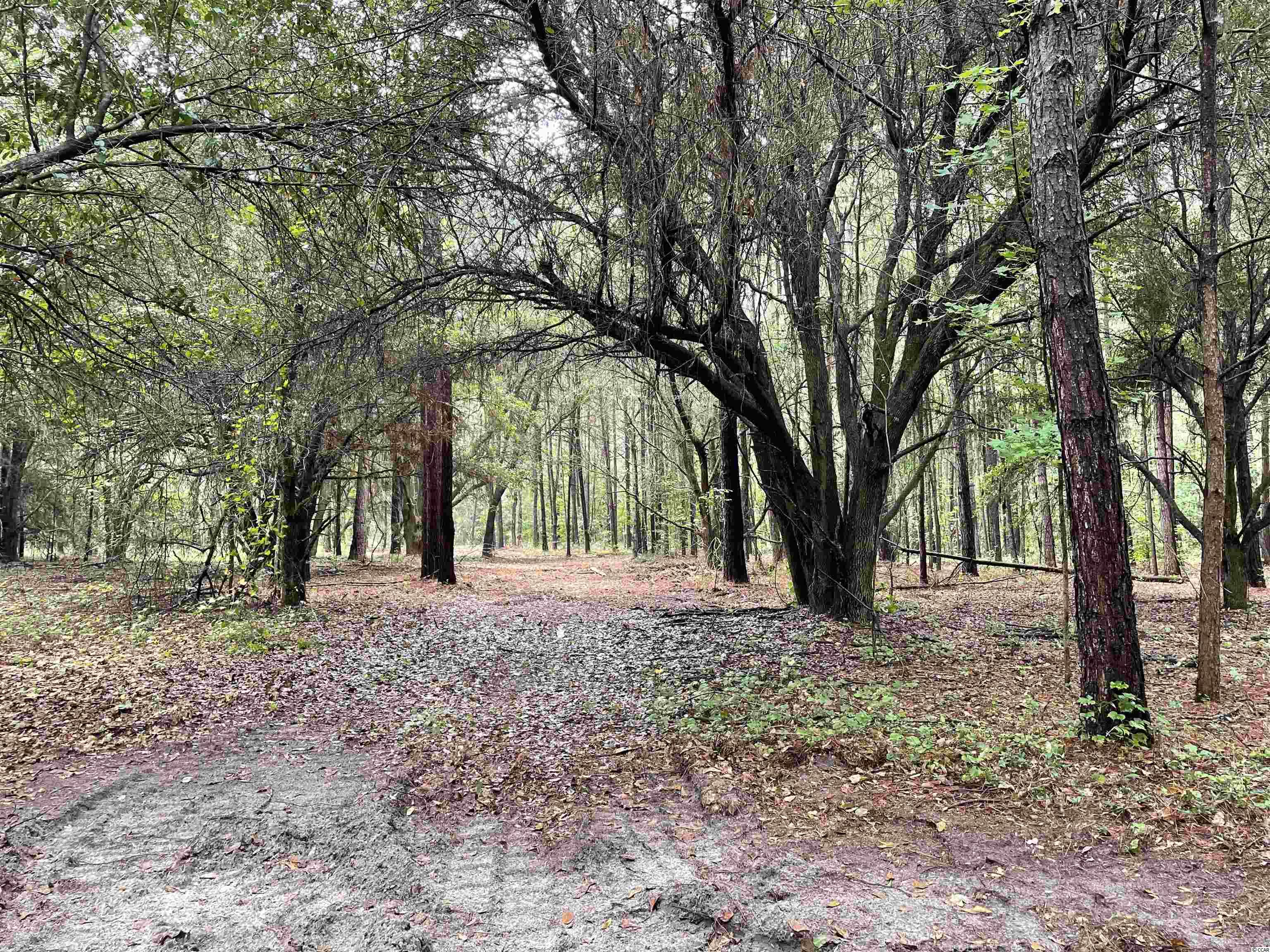 Tbt Tobias Road Manning, SC 29102 - Photo 3 of 14