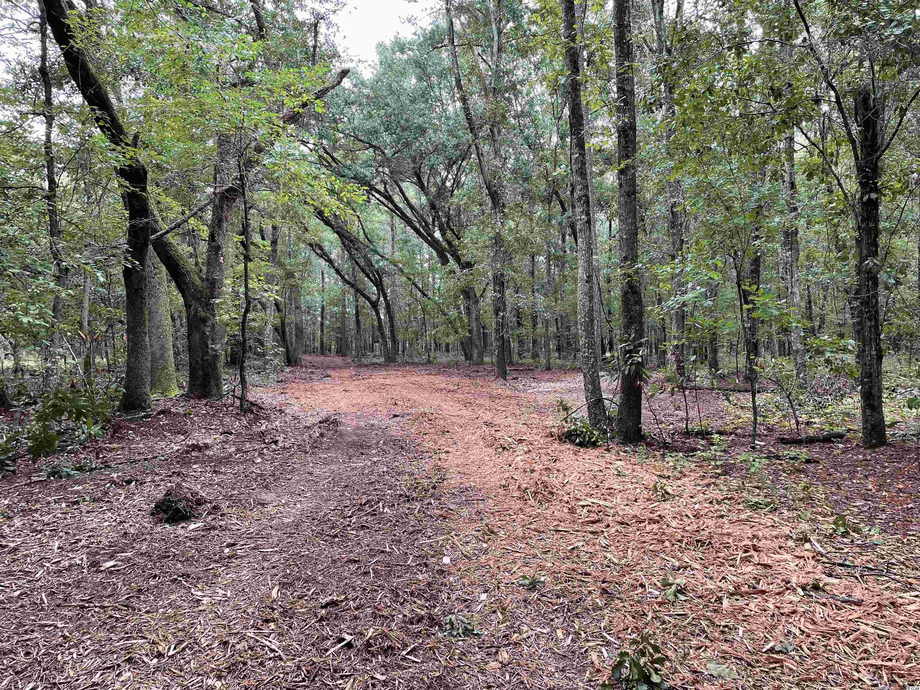 Tbt Tobias Road Manning, SC 29102 - Photo 7 of 14