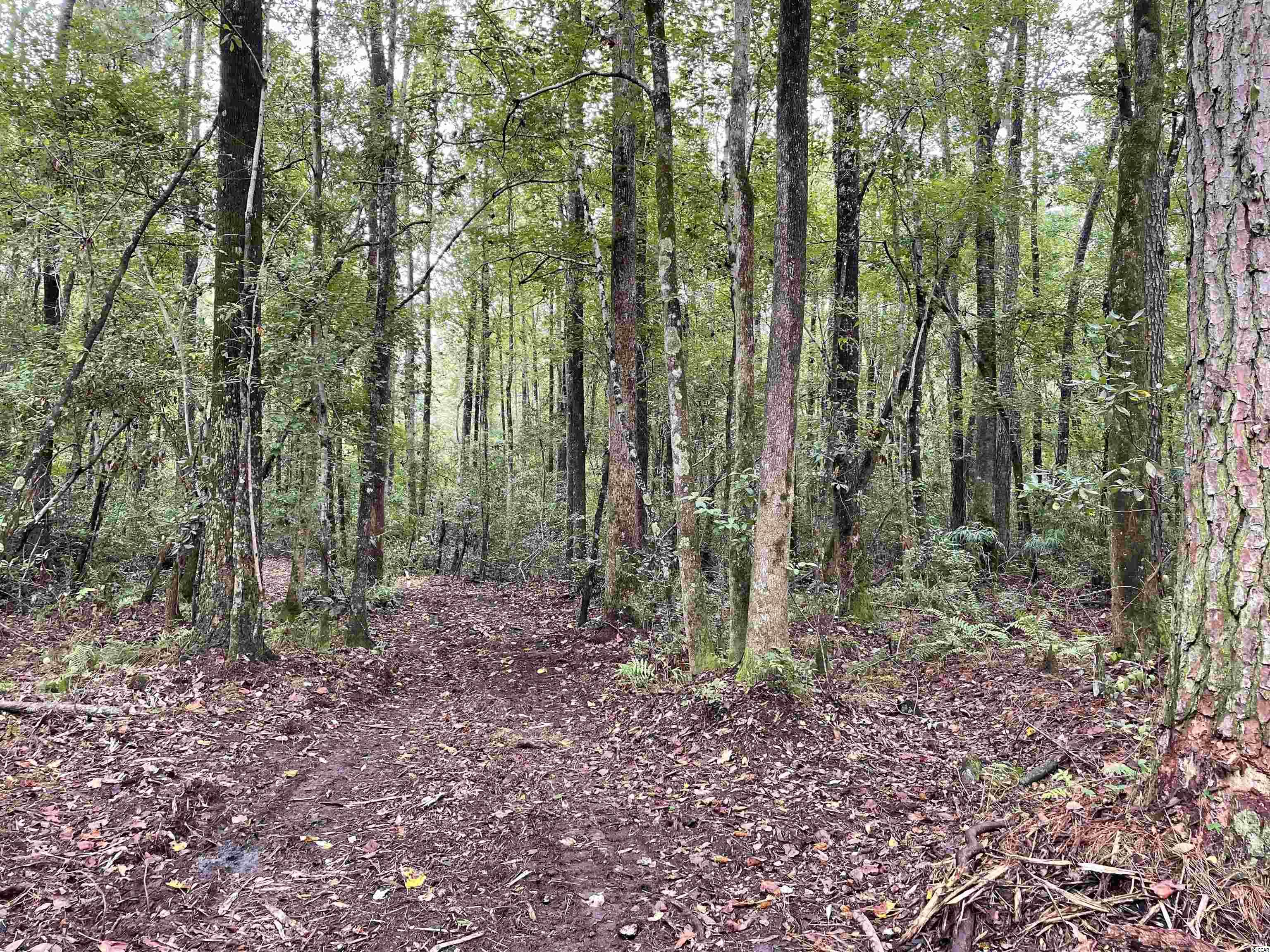 Tbt Tobias Road Manning, SC 29102 - Photo 8 of 14