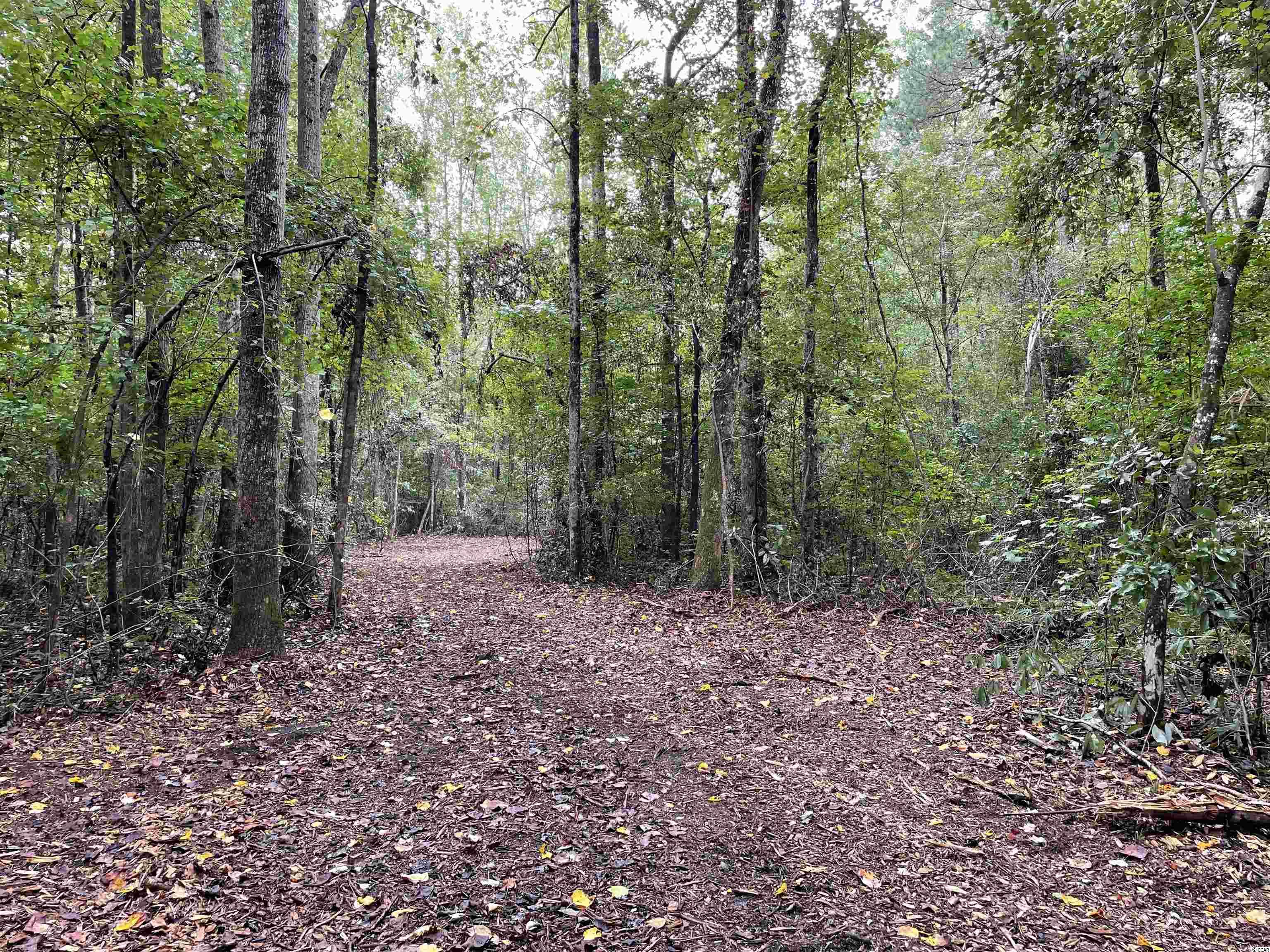 Tbt Tobias Road Manning, SC 29102 - Photo 9 of 14