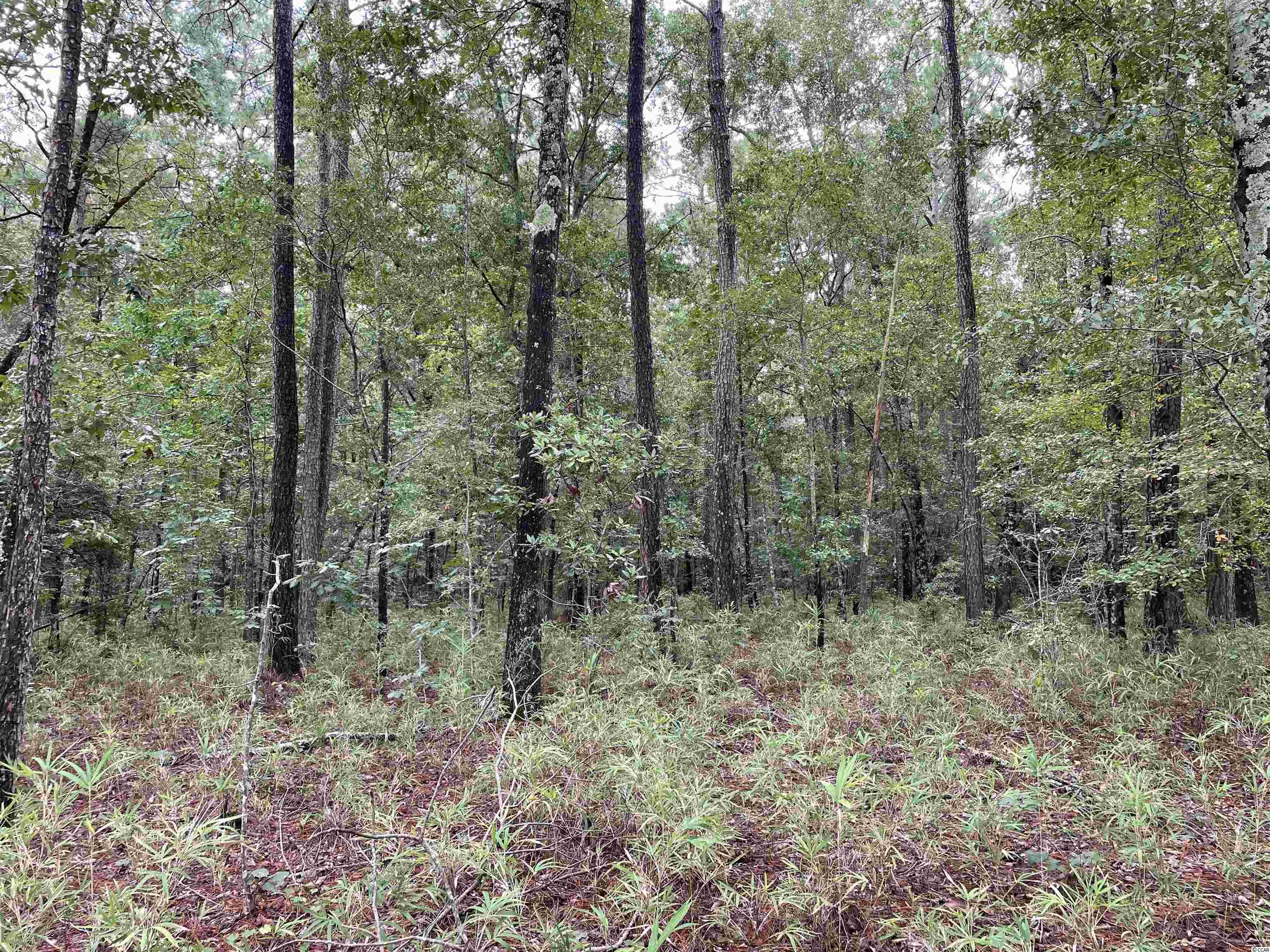 Tbt Tobias Road Manning, SC 29102 - Photo 10 of 14