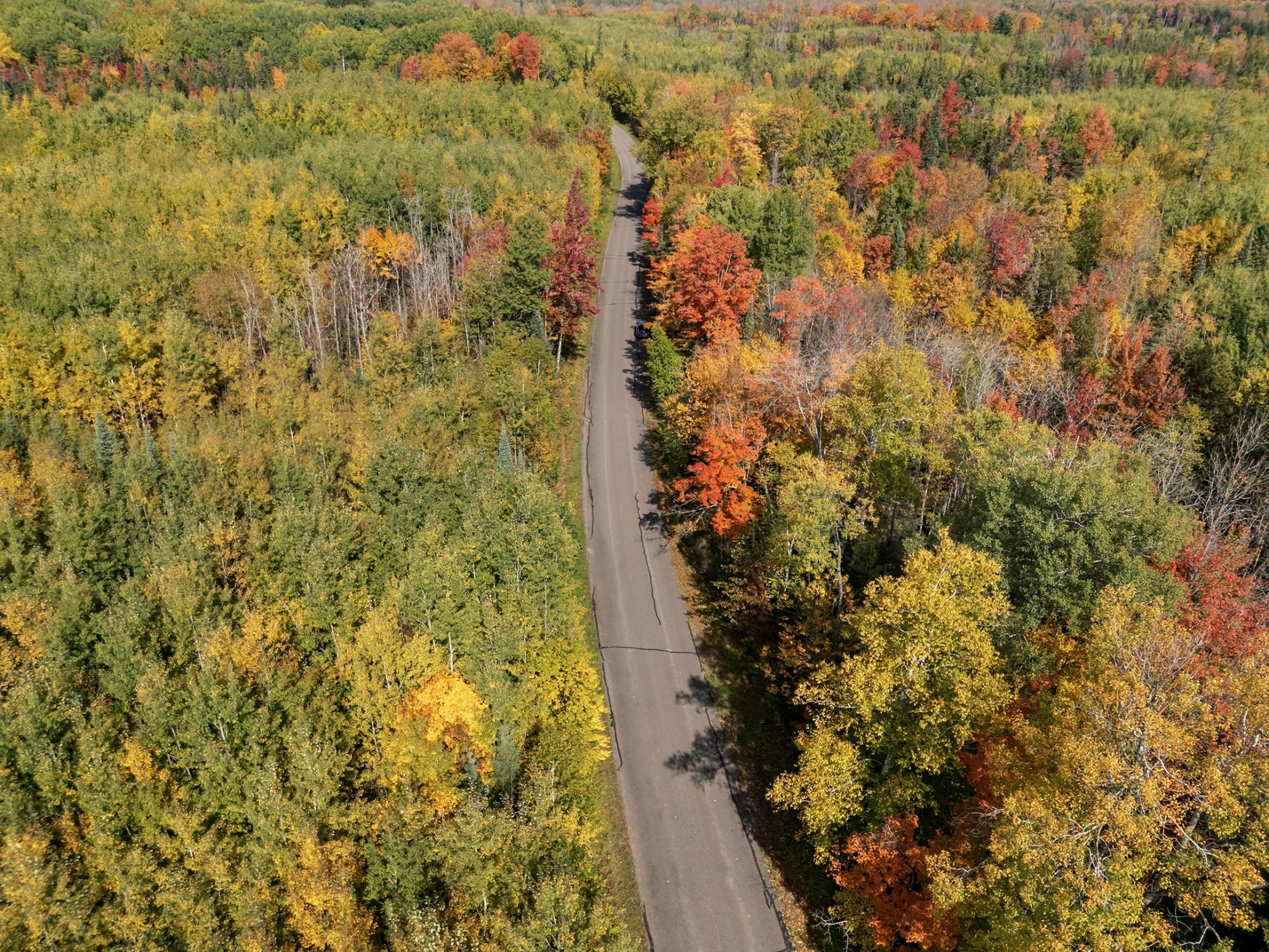 Off South Turtle Lake Road, Unit 10A Manitowish Waters, WI 54545 - Photo 60 of 61 Gallery Image 60