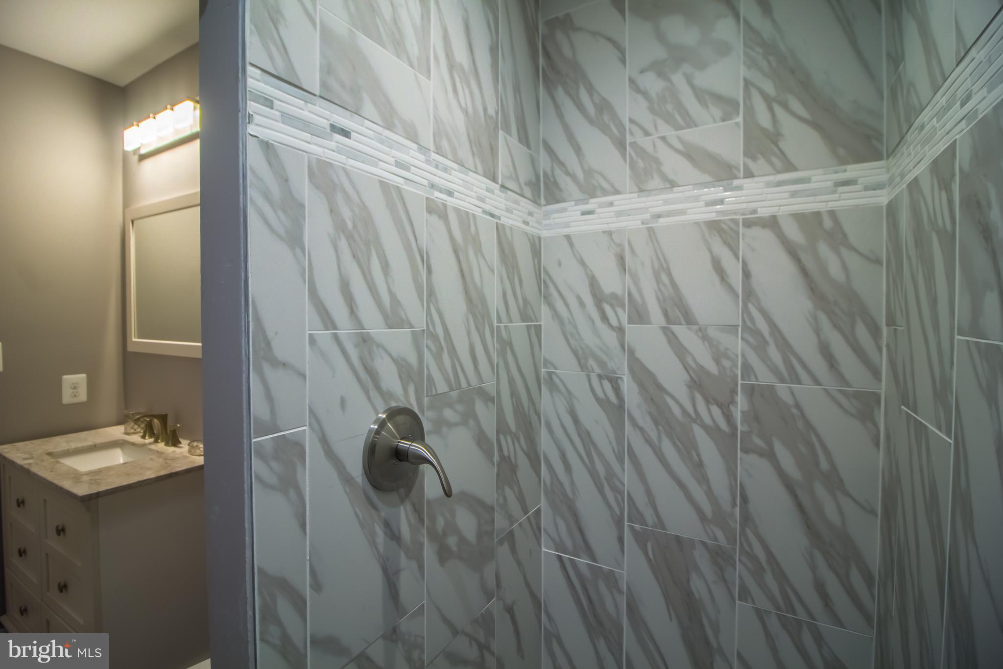 6500 Maplewood Road Baltimore, MD 21212 - Photo 21 of 30 Amazing Master Bath