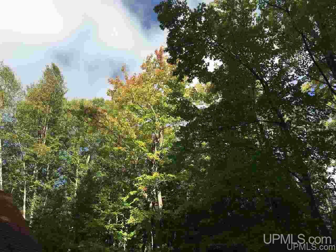 550 Riverside Road Marquette, MI 49855 - Photo 2 of 26 Gallery Image 2