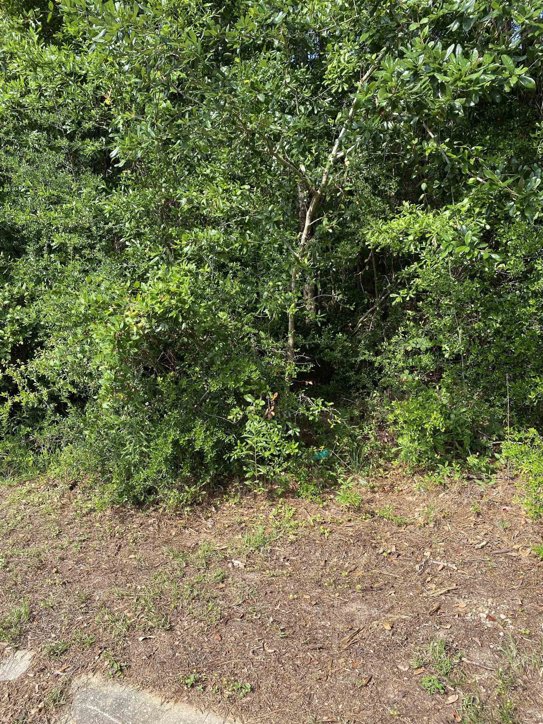0 Sailors Cove Daphne, AL 36527 - Photo 2 of 2