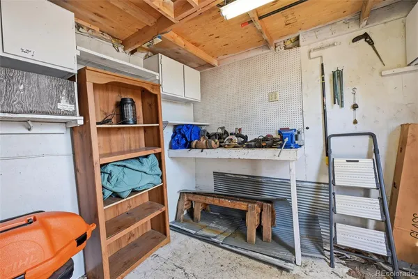 a view of a park that has large trees