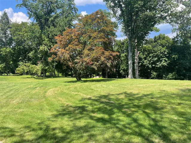 a view of a field with trees in the background