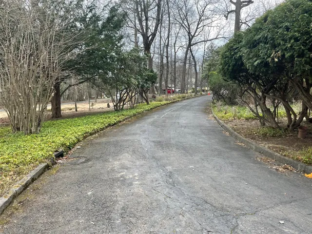 a view of a street with a large trees