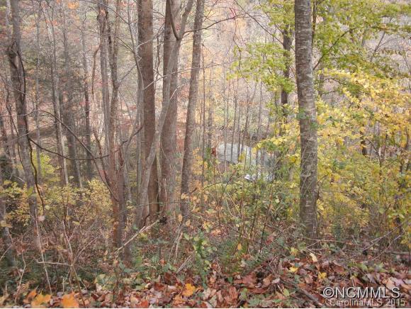 957 Rebel Ridge Road Marshall, NC 28753 - Photo 20 of 24 Gallery Image 20