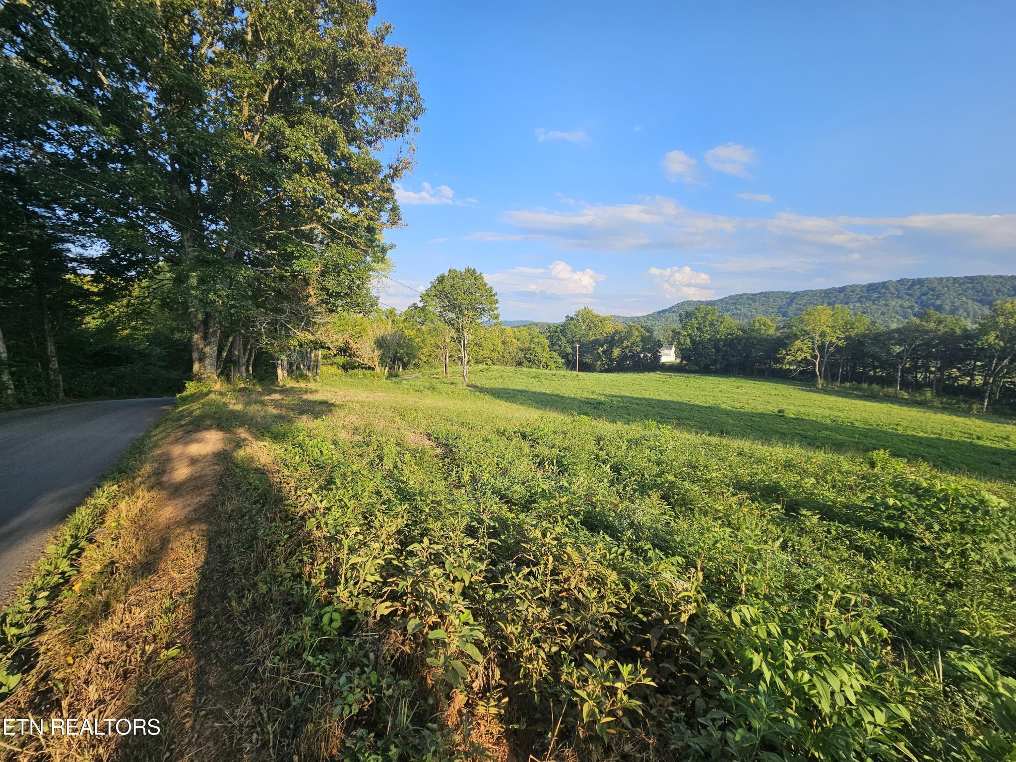 0 Brantley Road Sharps Chapel, TN 37866 - Photo 4 of 4 Gallery Image 4