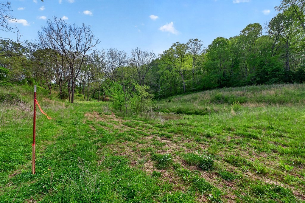 515 Jericho Road Quebeck, TN 38579 - Photo 43 of 60