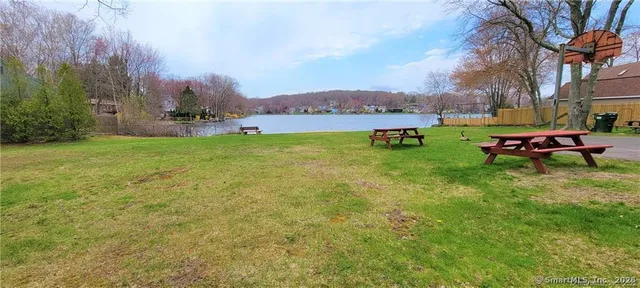 a view of a garden with a bench and trees