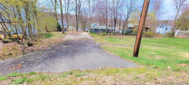 a view of a park with large trees