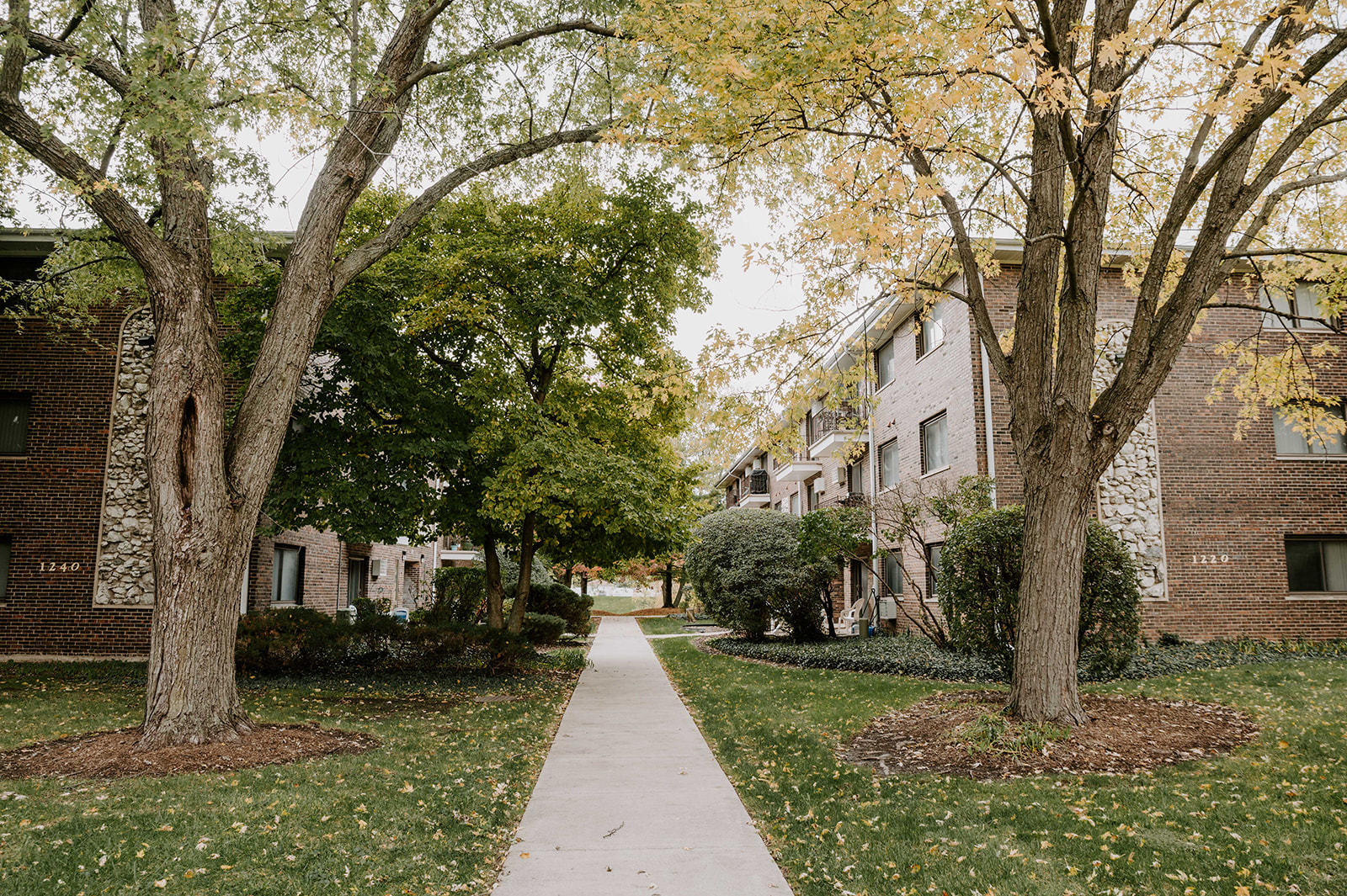 1220 South Lorraine Road, Unit 2C Wheaton, IL 60189 - Photo 2 of 14 a front view of a house with a yard and fountain