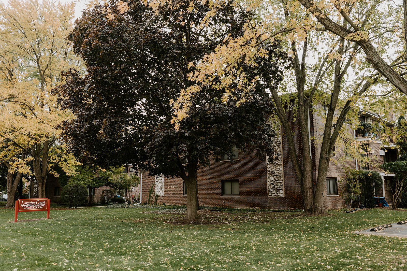 1220 South Lorraine Road, Unit 2C Wheaton, IL 60189 - Photo 12 of 14 a view of a tree in front of a house