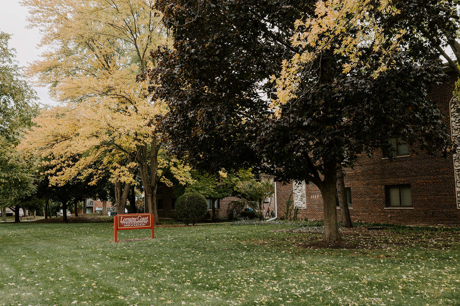1220 South Lorraine Road, Unit 2C Wheaton, IL 60189 - Photo 13 of 14 a wooden bench sitting in the middle of a park