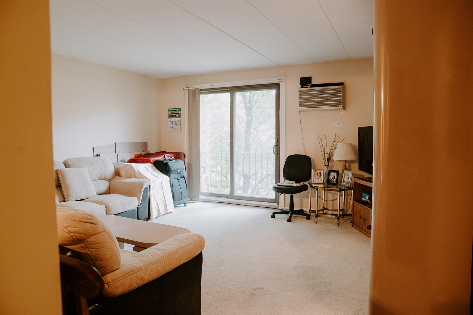 1220 South Lorraine Road, Unit 2C Wheaton, IL 60189 - Photo 7 of 14 a living room with furniture a rug and a window