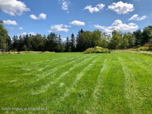 466 Spring Hill Road Moscow, PA 18444 - Photo 2 of 10 IMG_7231 (1)