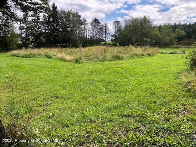 466 Spring Hill Road Moscow, PA 18444 - Photo 3 of 10 IMG_7259