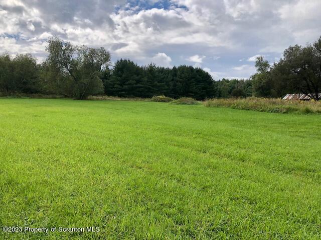 466 Spring Hill Road Moscow, PA 18444 - Photo 5 of 10 IMG_7258