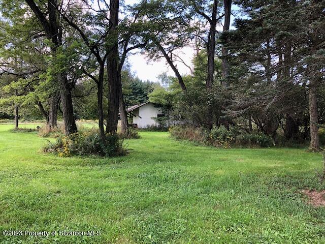 466 Spring Hill Road Moscow, PA 18444 - Photo 6 of 10 IMG_7242 (1)