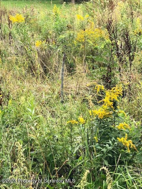 466 Spring Hill Road Moscow, PA 18444 - Photo 8 of 10 IMG_7248