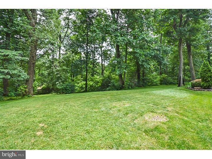 5690 Ridgeview Drive Doylestown, PA 18902 - Photo 25 of 25 View in Back
