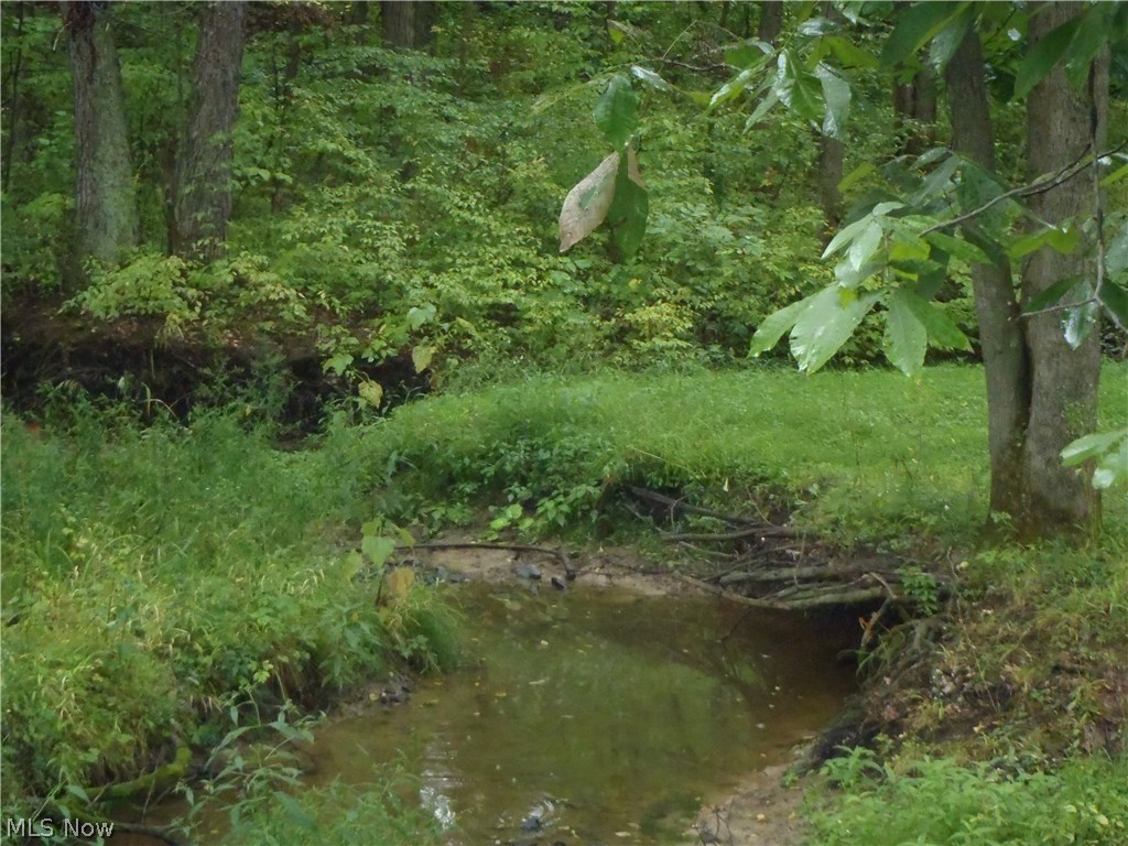 985 Prentice Road Northwest Warren, OH 44481 - Photo 21 of 25 Gallery Image 21