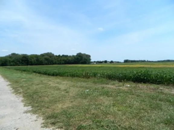 a view of a green field with wooden fence
