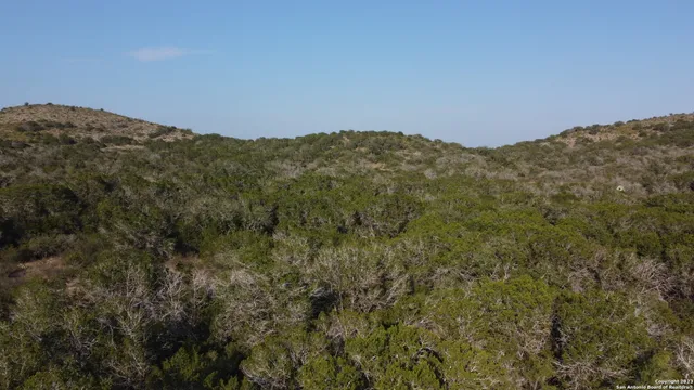 a view of a large mountain range with trees in the background