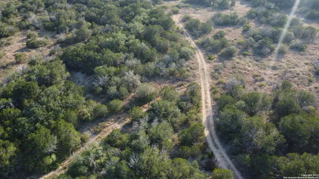 an aerial view of forest