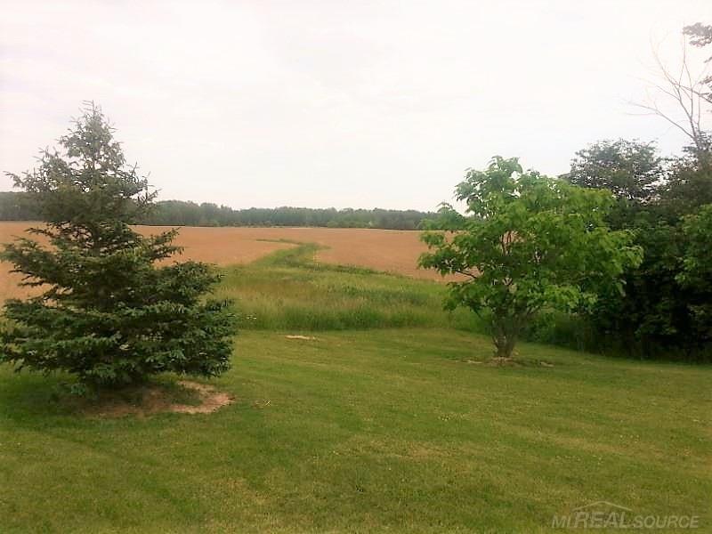 6060 Aitken Road Croswell, MI 48422 - Photo 6 of 25 31322791-5.JPG