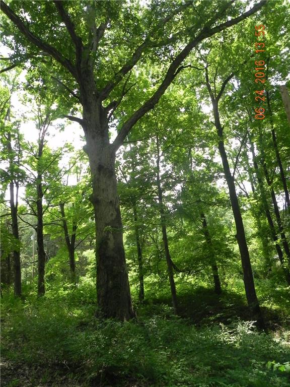 32 North Olive Church Road Paragon, IN 46166 - Photo 14 of 24
