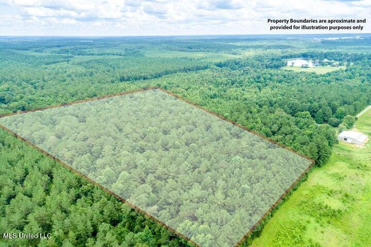 25.5-acres Canty Rayborn Road Sumrall, MS 39482 - Photo 1 of 24 20241217024241519445000000-o