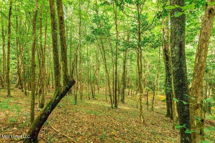 25.5-acres Canty Rayborn Road Sumrall, MS 39482 - Photo 11 of 24 20241217025520054225000000-o