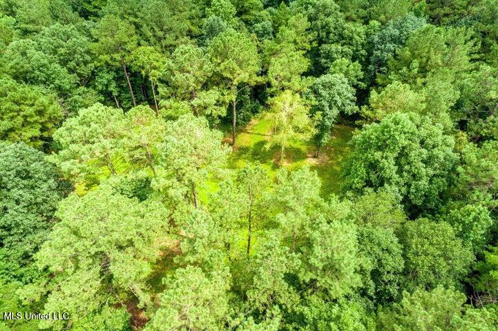 25.5-acres Canty Rayborn Road Sumrall, MS 39482 - Photo 19 of 24 20241217025555035569000000-o
