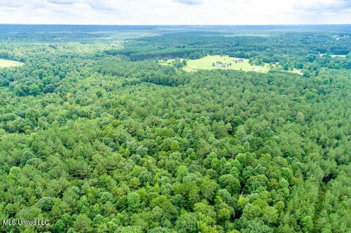 25.5-acres Canty Rayborn Road Sumrall, MS 39482 - Photo 20 of 24 20241217025558568607000000-o
