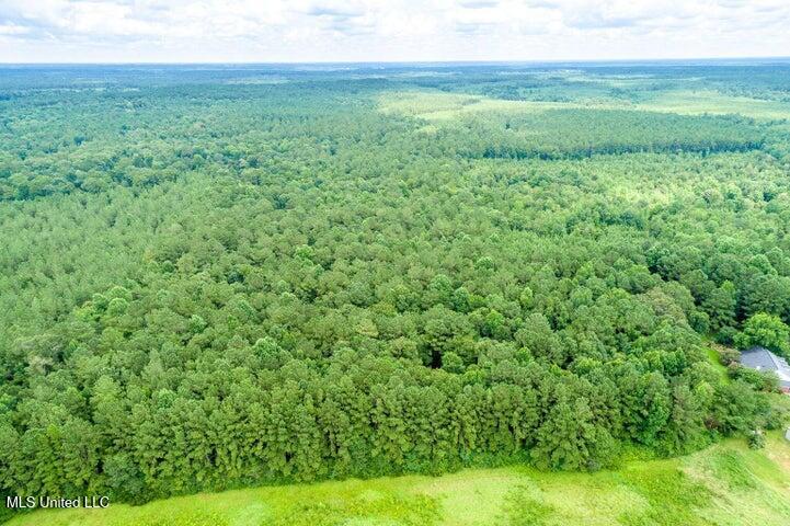 25.5-acres Canty Rayborn Road Sumrall, MS 39482 - Photo 23 of 24 20241217025608767327000000-o