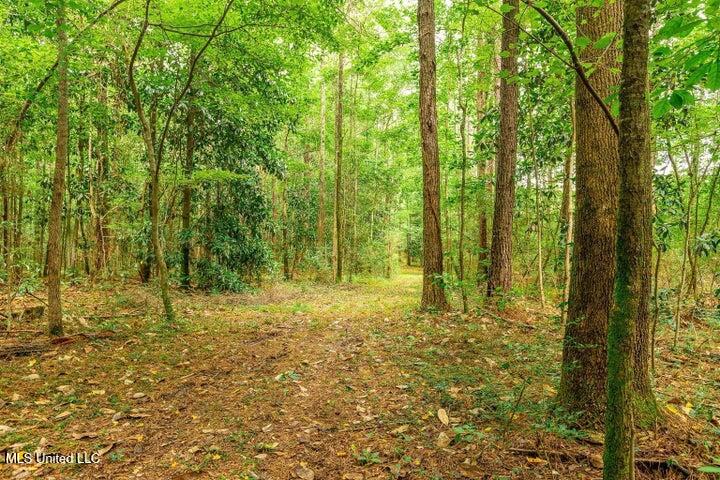 25.5-acres Canty Rayborn Road Sumrall, MS 39482 - Photo 3 of 24 20241217024250257650000000-o