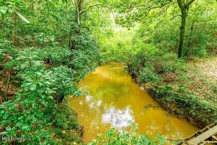 25.5-acres Canty Rayborn Road Sumrall, MS 39482 - Photo 4 of 24 20241217024254253875000000-o